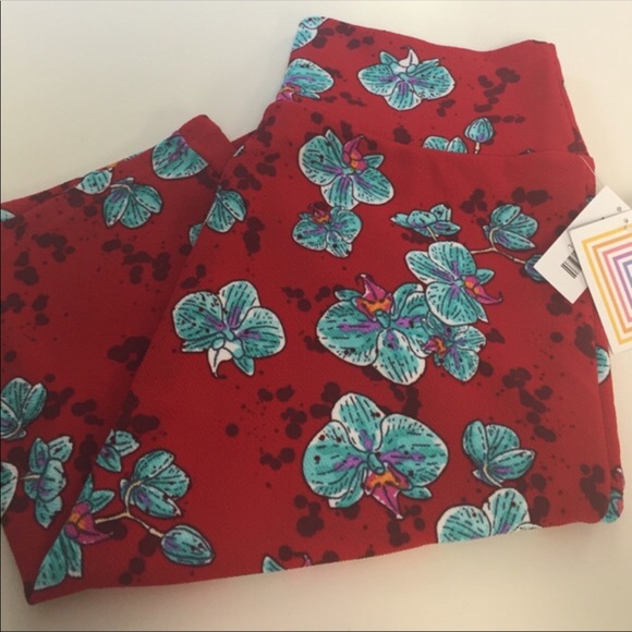 LulaRoe Cassie Skirt - Picture 4 of 6